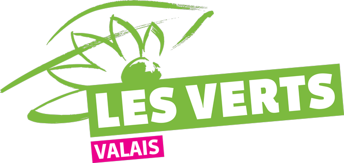 Un nouveau président ou une nouvelle présidente pour les Verts valaisans en 2021